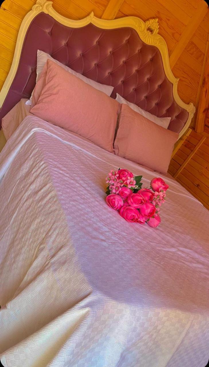Oda ve Kahvaltı La Bella Bungalow