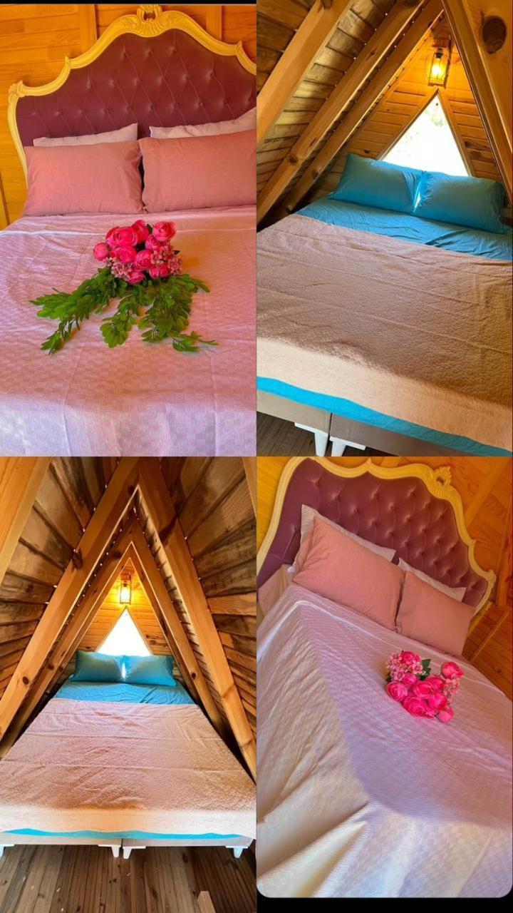 Oda ve Kahvaltı La Bella Bungalow Antalya